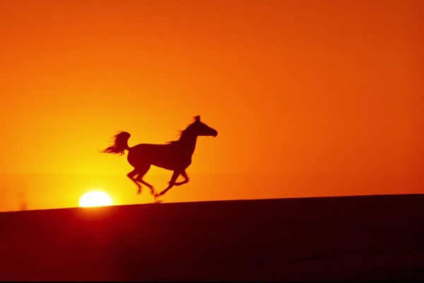 我認為自己還年輕 1.jpg